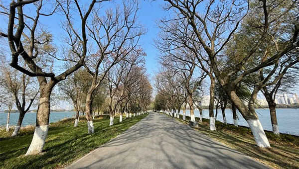 兴发娱乐[苏州景物园林设计,苏州景物园林施工,苏州文物古建修缮,苏州香山制造,苏州园林设计,苏州景物园林设计,苏州园林制造,苏州景物园林制造,苏州古修建修复]