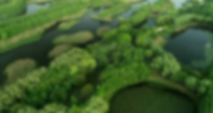 兴发娱乐[苏州景物园林设计,苏州景物园林施工,苏州文物古建修缮,苏州香山制造,苏州园林设计,苏州景物园林设计,苏州园林制造,苏州景物园林制造,苏州古修建修复]