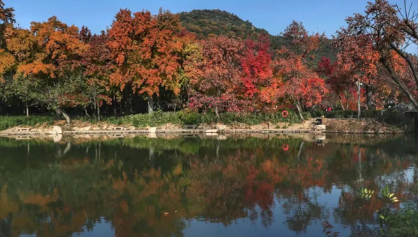 兴发娱乐[苏州景物园林设计,苏州景物园林施工,苏州文物古建修缮,苏州香山制造,苏州园林设计,苏州景物园林设计,苏州园林制造,苏州景物园林制造,苏州古修建修复]