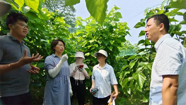 兴发娱乐[苏州景物园林设计,苏州景物园林施工,苏州文物古建修缮,苏州香山制造,苏州园林设计,苏州景物园林设计,苏州园林制造,苏州景物园林制造,苏州古修建修复]
