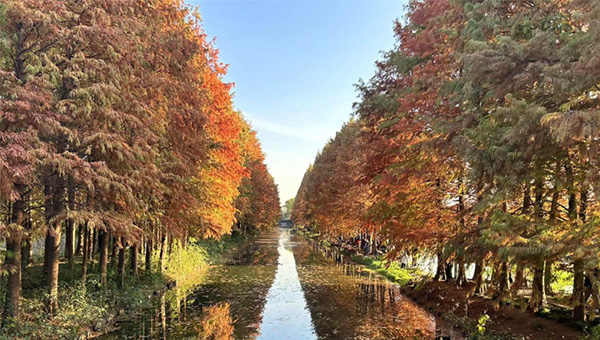 兴发娱乐[苏州景物园林设计,苏州景物园林施工,苏州文物古建修缮,苏州香山制造,苏州园林设计,苏州景物园林设计,苏州园林制造,苏州景物园林制造,苏州古修建修复]