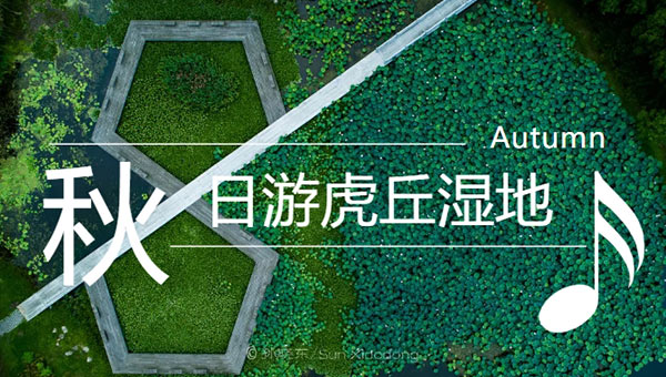 兴发娱乐[苏州景物园林设计,苏州景物园林施工,苏州文物古建修缮,苏州香山制造,苏州园林设计,苏州景物园林设计,苏州园林制造,苏州景物园林制造,苏州古修建修复]