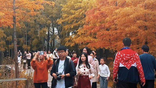 兴发娱乐[苏州景物园林设计,苏州景物园林施工,苏州文物古建修缮,苏州香山制造,苏州园林设计,苏州景物园林设计,苏州园林制造,苏州景物园林制造,苏州古修建修复]