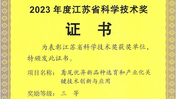 兴发娱乐[苏州景物园林设计,苏州景物园林施工,苏州文物古建修缮,苏州香山制造,苏州园林设计,苏州景物园林设计,苏州园林制造,苏州景物园林制造,苏州古修建修复]
