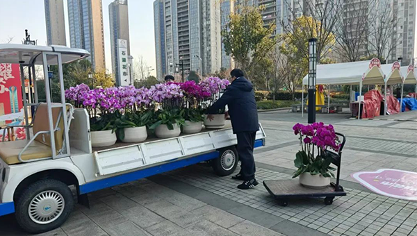 兴发娱乐[苏州景物园林设计,苏州景物园林施工,苏州文物古建修缮,苏州香山制造,苏州园林设计,苏州景物园林设计,苏州园林制造,苏州景物园林制造,苏州古修建修复]