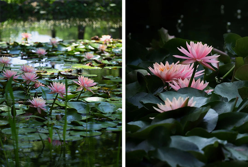 未问题-3.jpg