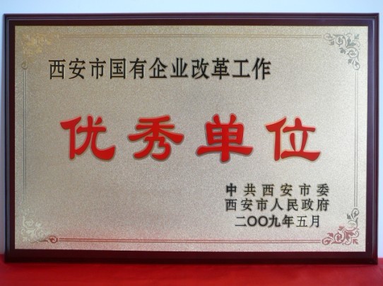 2009年5月，被西安市委、市当驹炖为西安市国企业鼎新工作优良单元