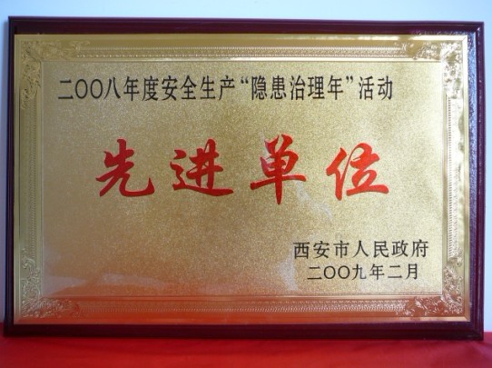 2009年2月，被西安市人民当驹炖为2008年度安全出产“隐患治理年”活动先进单元