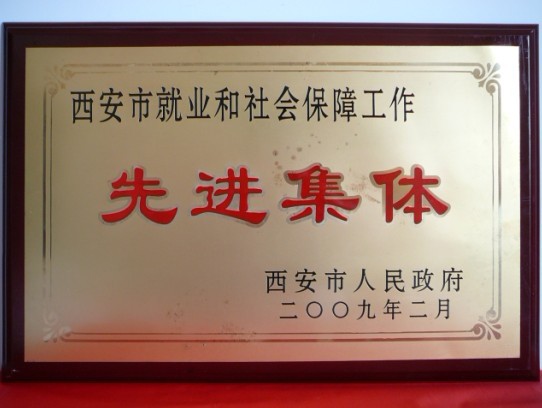 2009年2月，被西安市当驹炖为西安市就业和社会保险工作先进集体