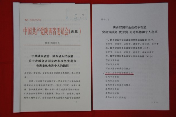 2009年2月，被陕西省委、省敌灾授予陕西省国有企业鼎新攻坚先进集体