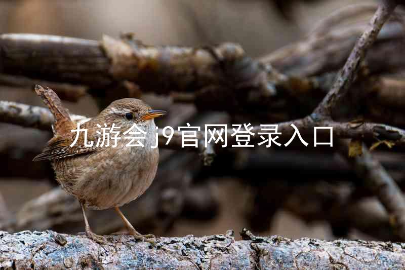 九游会j9官网登录入口